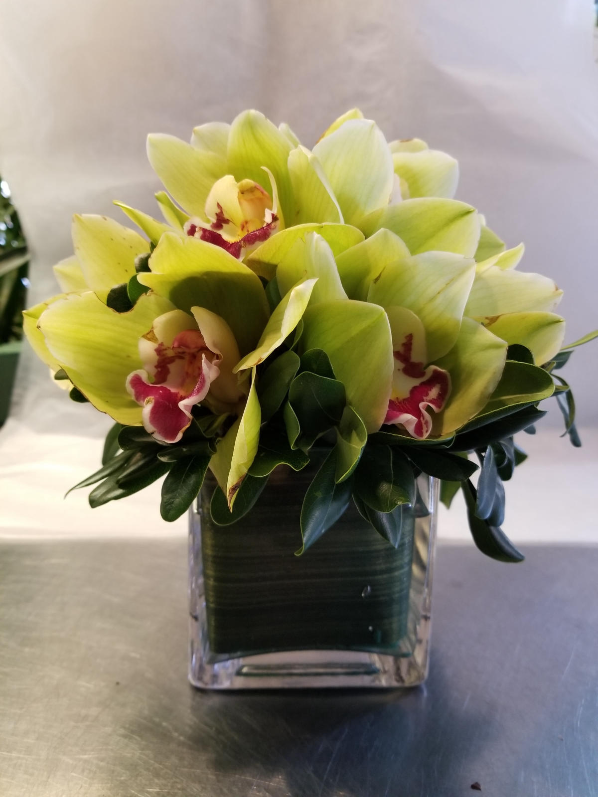 White phalaenopsis orchid arrangement by Citywide Florist NYC, Upper East Side